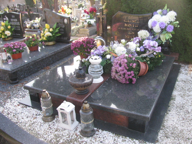 Grób Salomea Minta