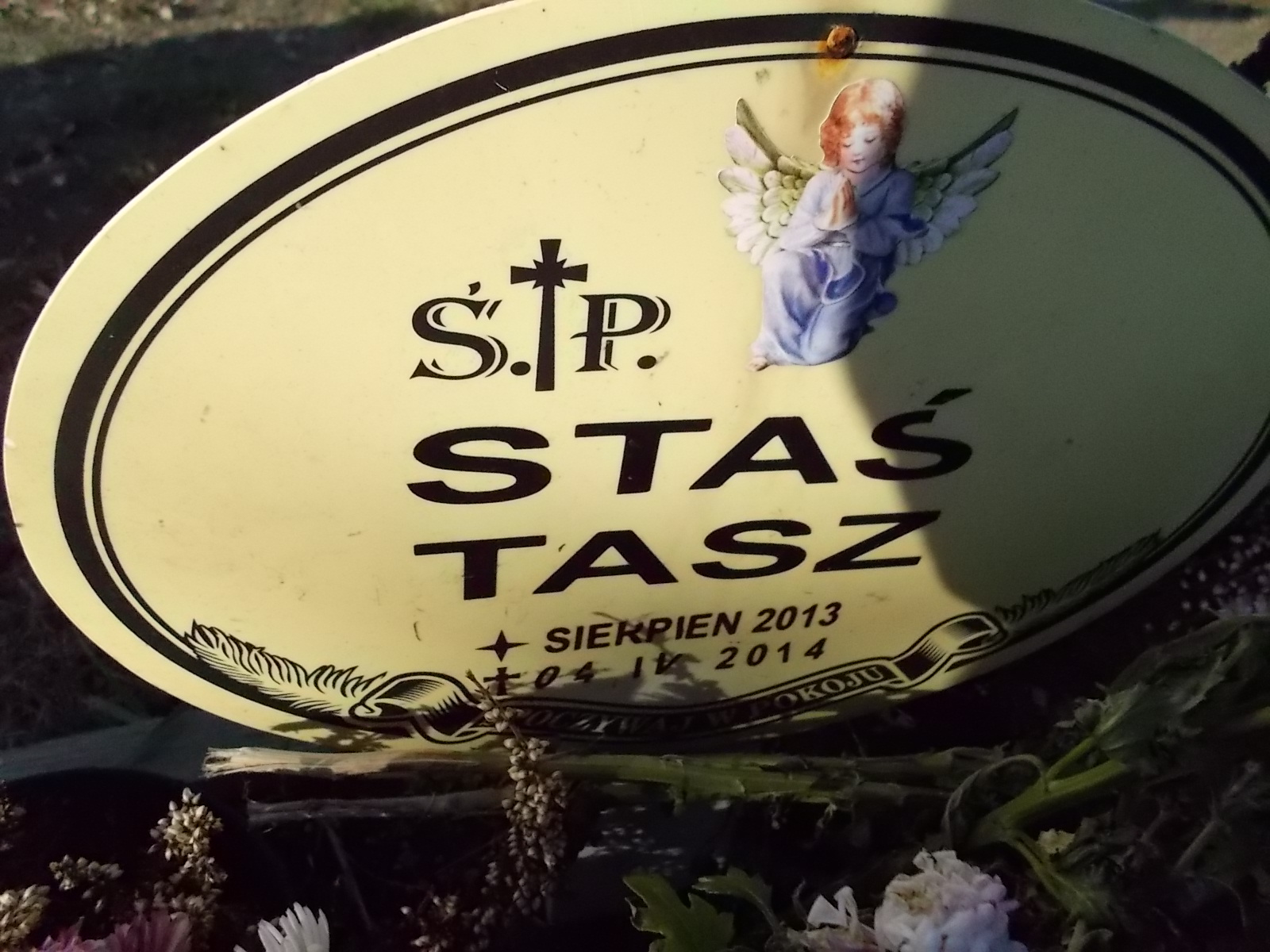 Stanisław Tasz 2013 Kobierzyce - Grobonet - Wyszukiwarka osób pochowanych